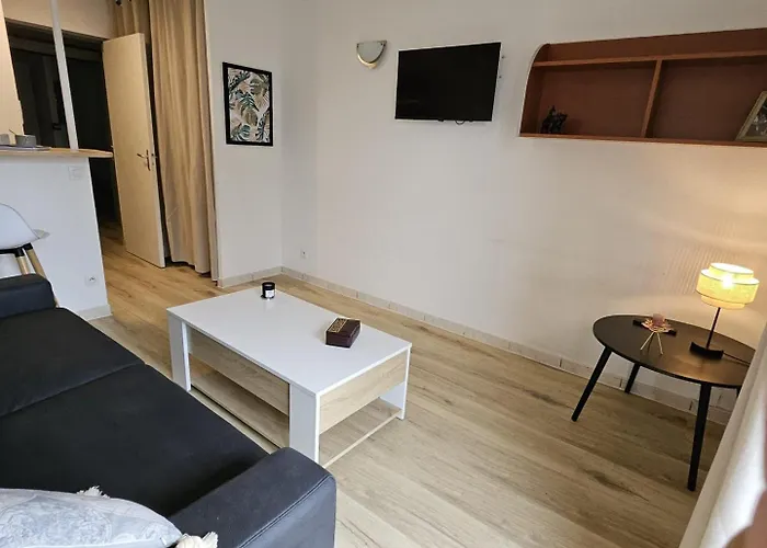 Daire T1 - Metro B Francois Verdier *